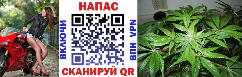 Как найти наркотики Ногинск Конопля  Alpha PVP  ГАШИШ 