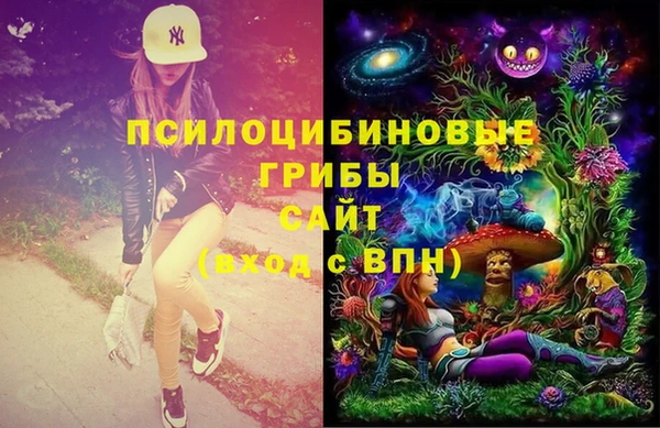 скорость Баксан