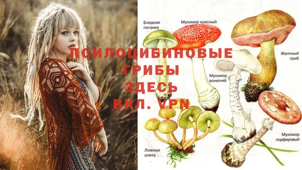 кокаин Балахна