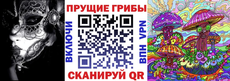Галлюциногенные грибы мухоморы  где можно купить наркотик  Ногинск 
