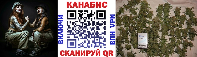 где купить   Ногинск  Шишки марихуана Ganja 